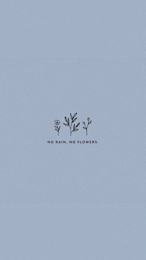 No Rain No Flowers Cute Aesthetic Wallpaper