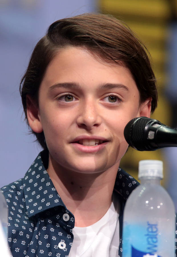 Noah Schnapp At San Diego Comic-con Wallpaper