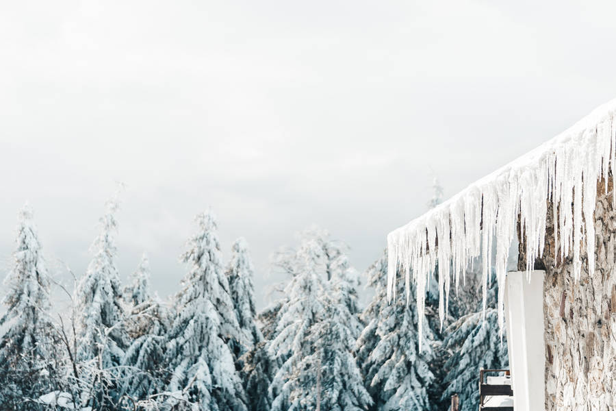 Nordic Forest With Icicles Wallpaper