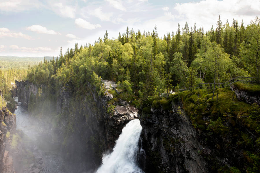 Nordic Forest With Waterfall Wallpaper