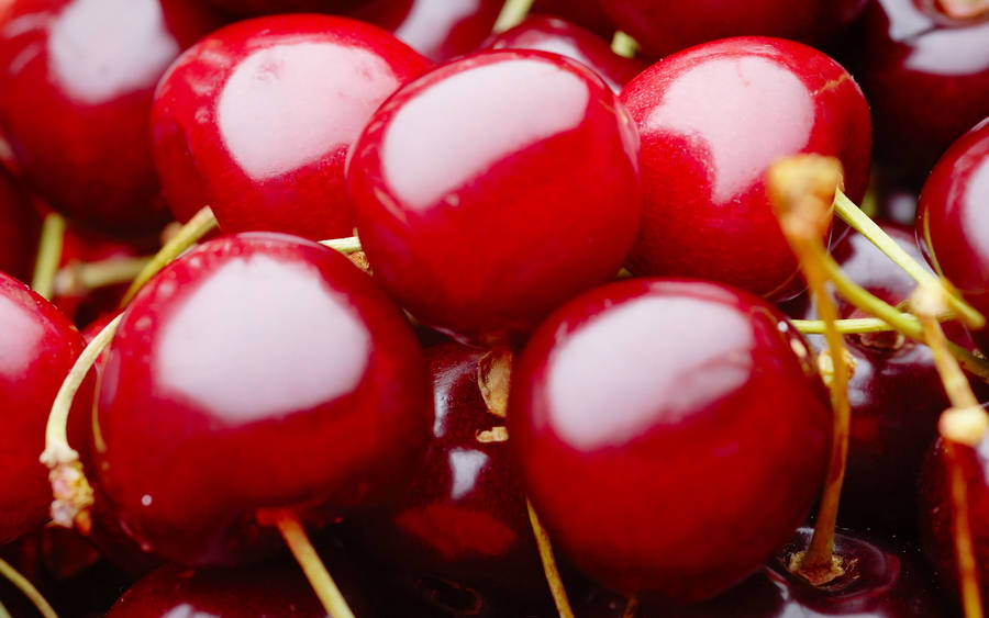 North Star Cherries Wallpaper