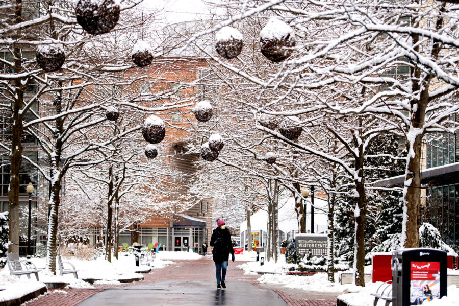 Northeastern University Snowy Path Wallpaper