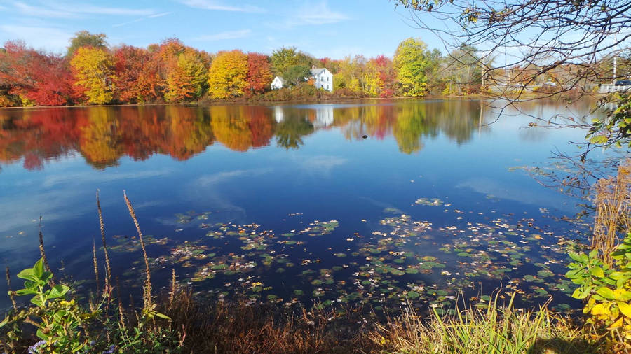 Norton Reservoir Massachusetts Wallpaper