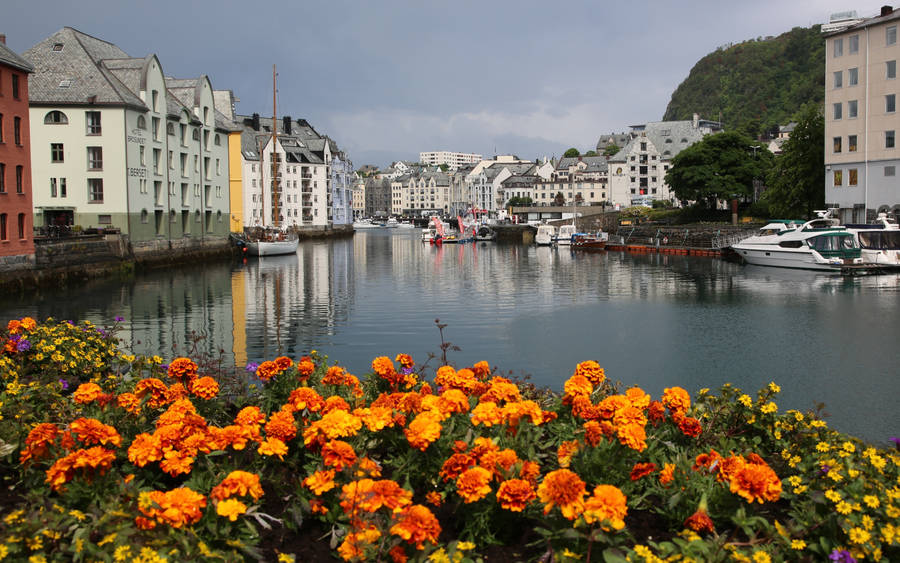 Norway Ålesund Coastal Town Wallpaper