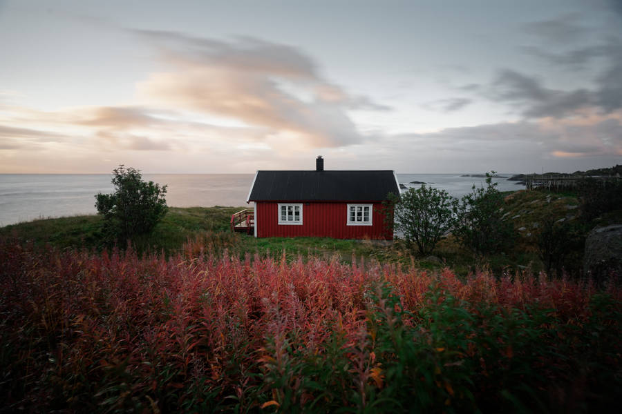 Norway House In Hamnøya Village Wallpaper