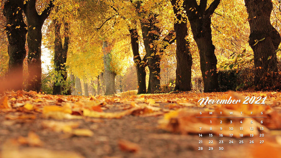 November 2021 Calendar Falling Leaves Wallpaper