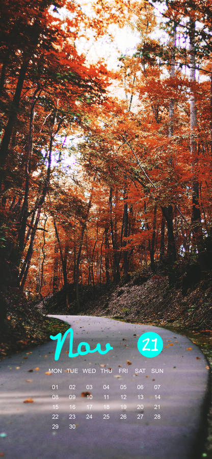 November 2021 Calendar Orange Road Trees Wallpaper