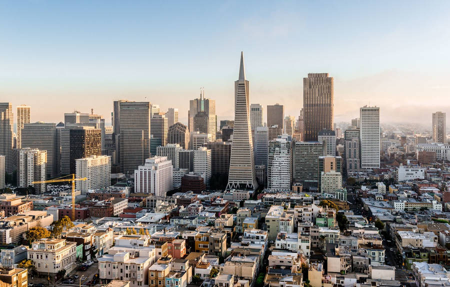 Observing San Francisco From Coit Tower Wallpaper