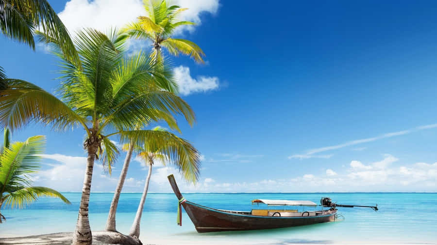 Ocean Palm Trees Boat In Beach Wallpaper