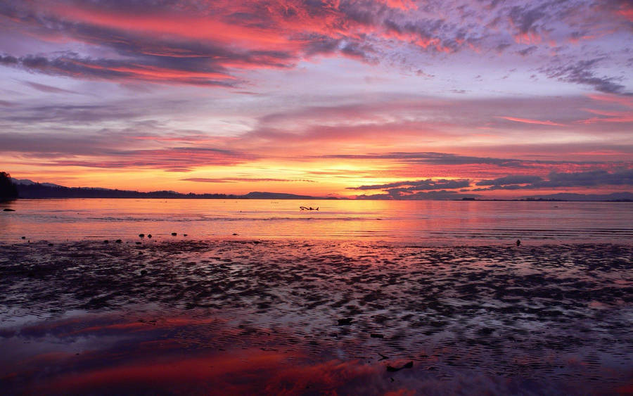 Ocean Sunset Peaceful Beach Wallpaper