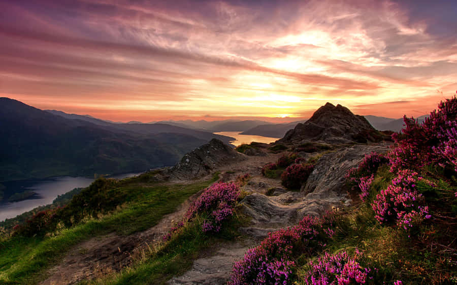 Oh, The Beauty Of Scotland Wallpaper