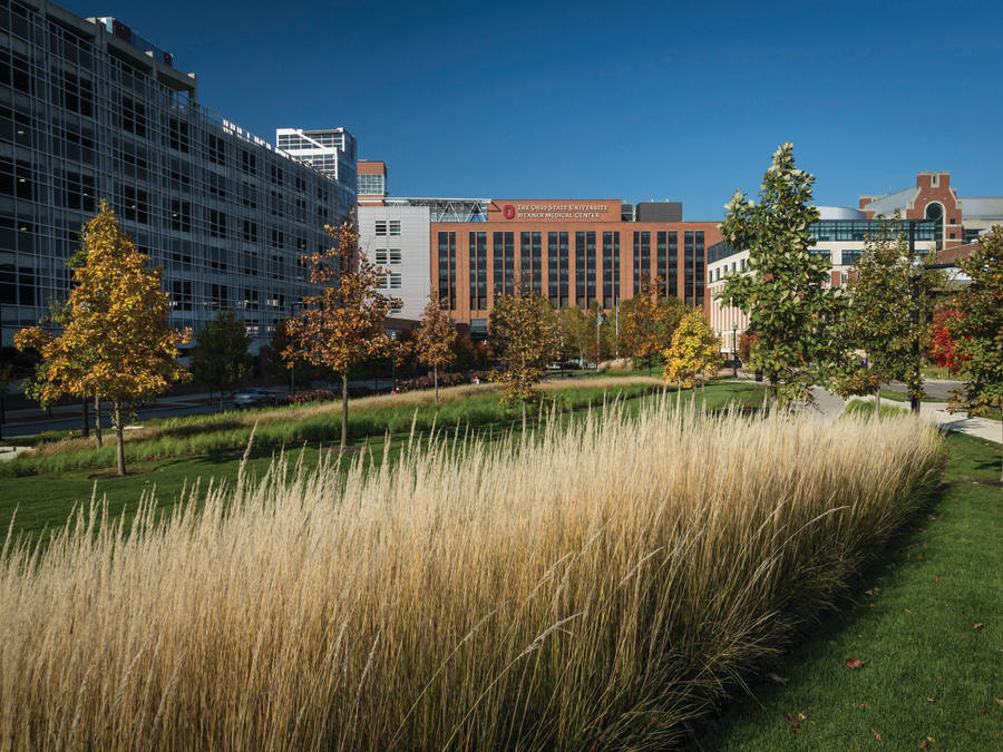 Ohio State University Wexner Medical Center Wallpaper