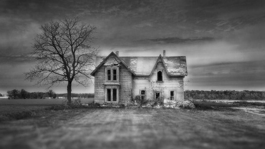 Old Haunted House With Empty Tree Wallpaper