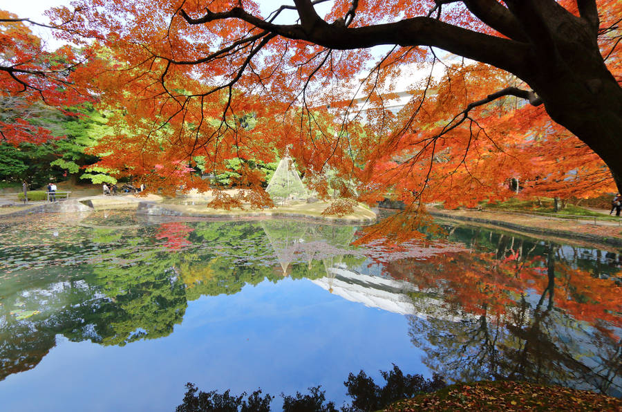 Old Japanese Garden Wallpaper