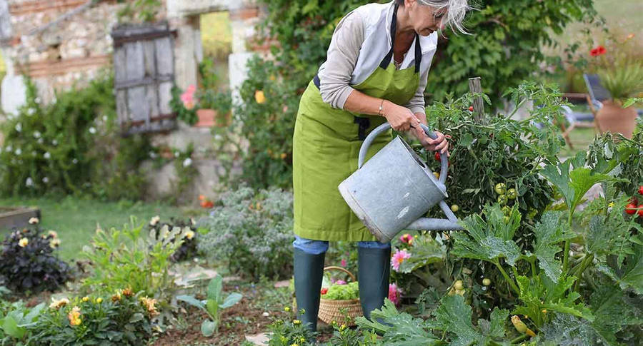 Old Woman Gardening Wallpaper