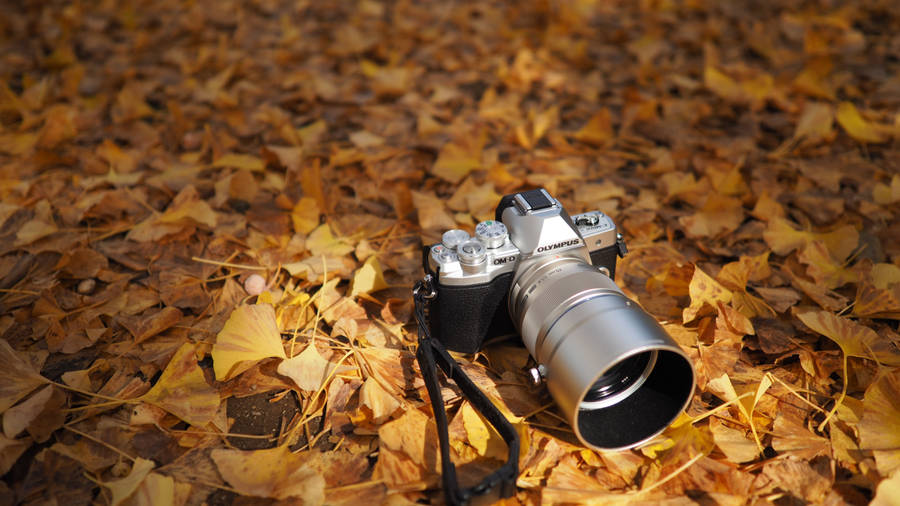 Olympus Om-d Camera Wallpaper