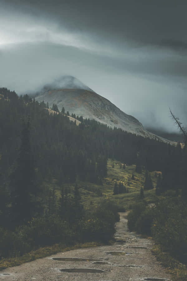 Ominous Path In The Forest Wallpaper