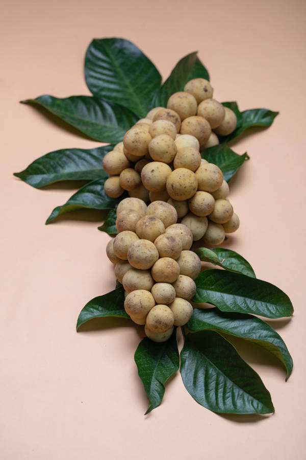 One Bunch Of Longan Fruits Wallpaper