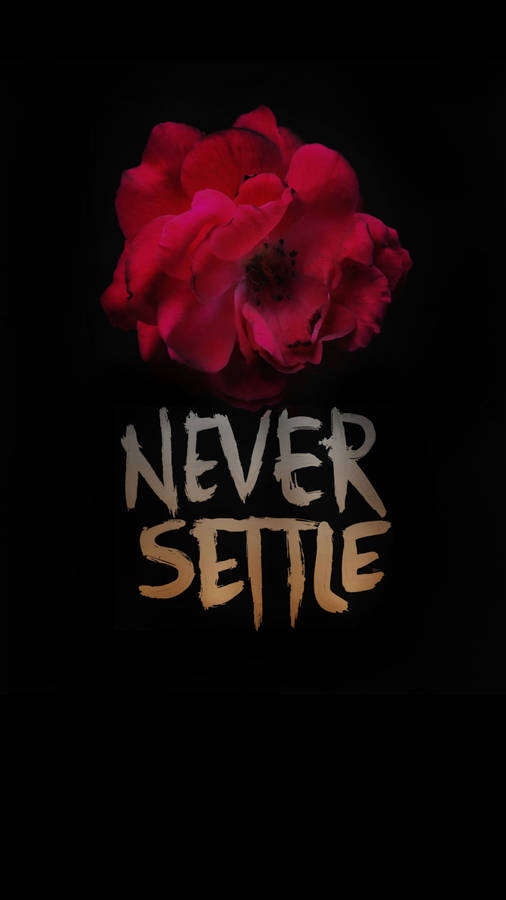 Oneplus 7 Pro Rose On Black Wallpaper