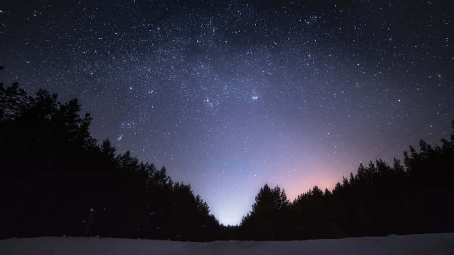 Optimized Image A Cute Bat Silhouette Against A Star-filled Evening Sky Wallpaper