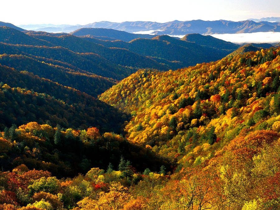 Orange And Yellow Smoky Mountains Wallpaper