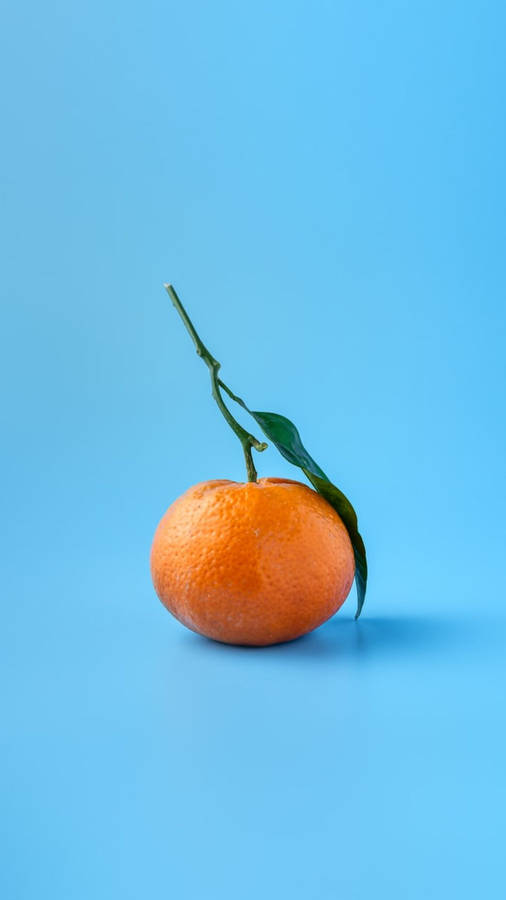 Orange Fruit On Blue Backdrop Wallpaper