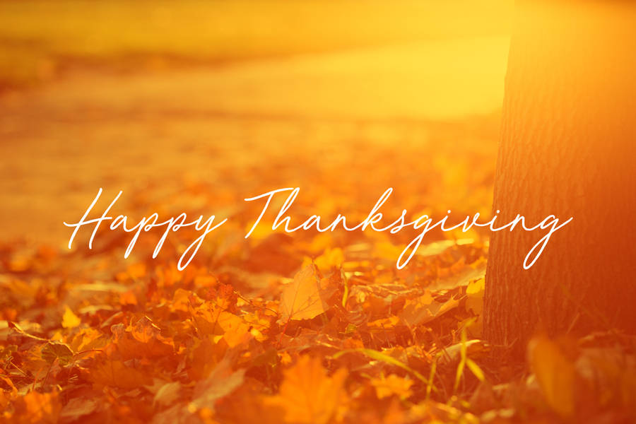 Orange Sunlight Happy Thanksgiving Day Wallpaper