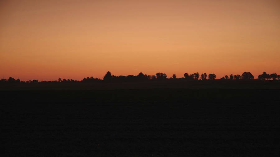 Orange Sunset And Forest Trees Horizon Wallpaper