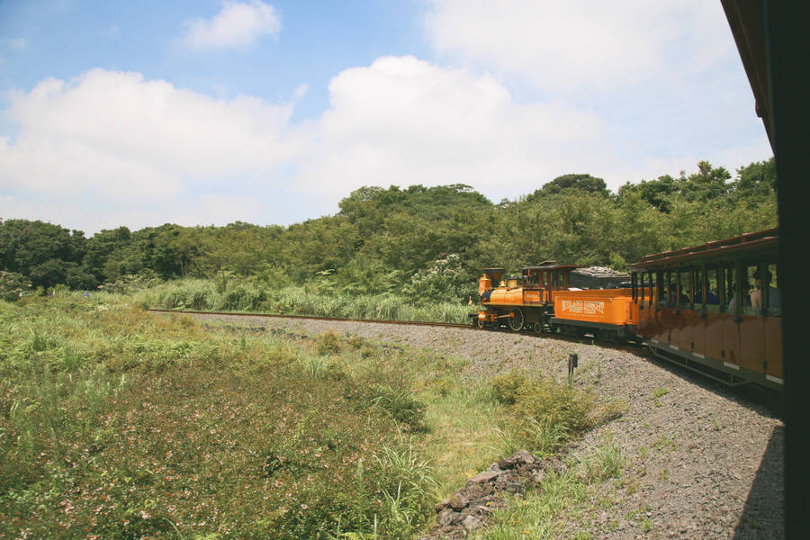 Orange Train In The Field Wallpaper