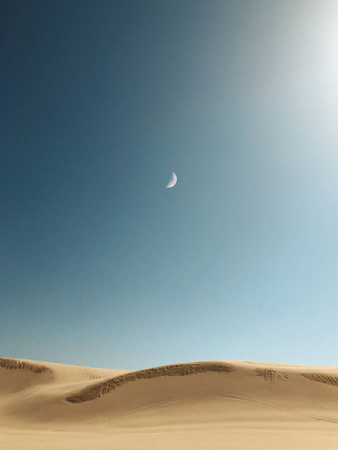 Oregon Sand Dunes Wallpaper