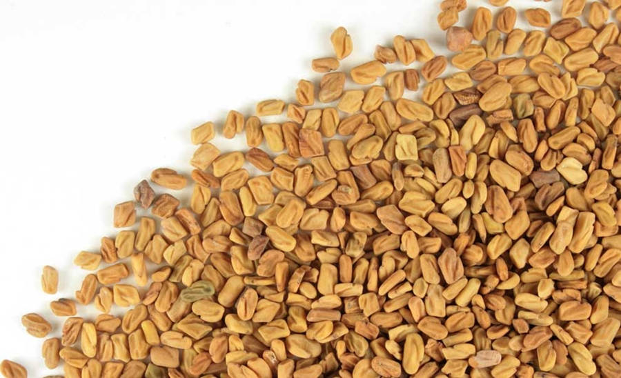 Organic Fenugreek Seeds Wallpaper