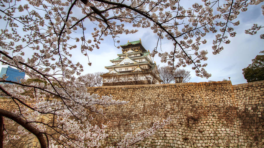 Osaka Castle Stone Wall Wallpaper