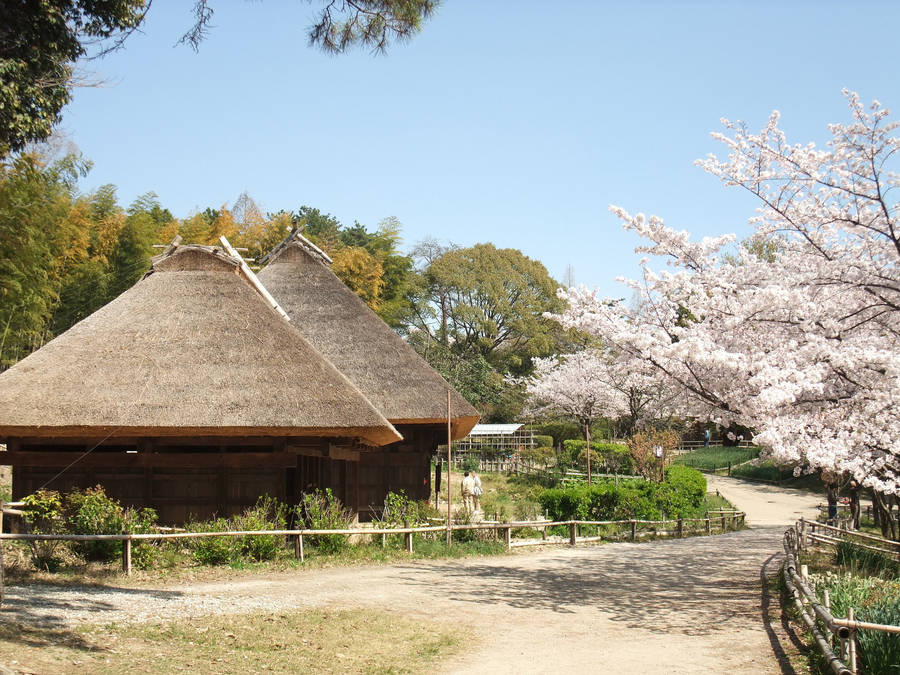 Osaka Japanese Farm House Wallpaper