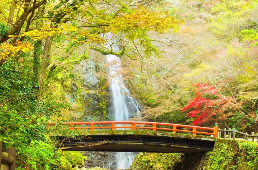 Osaka Minoo Falls Wallpaper