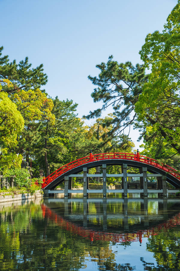 Osaka Taiko Bashi Bridge Wallpaper