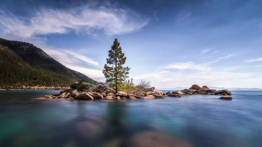 Outdoor Island With Tree Wallpaper