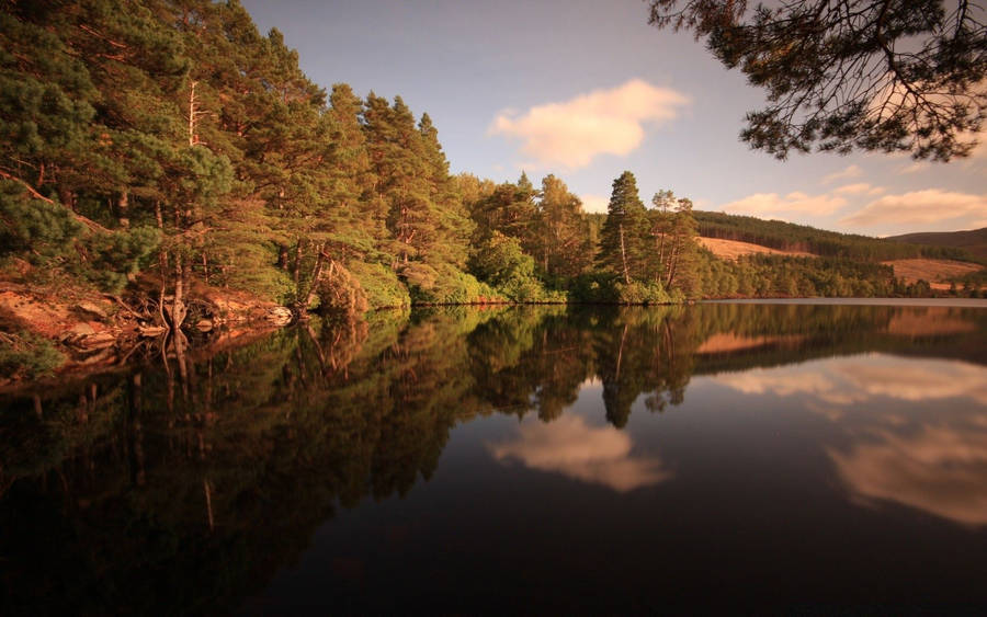 Outdoor Reflective River Wallpaper