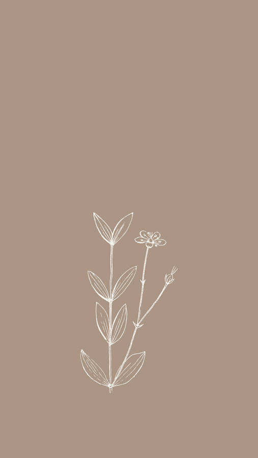 Outline Spring Aesthetic Wallpaper