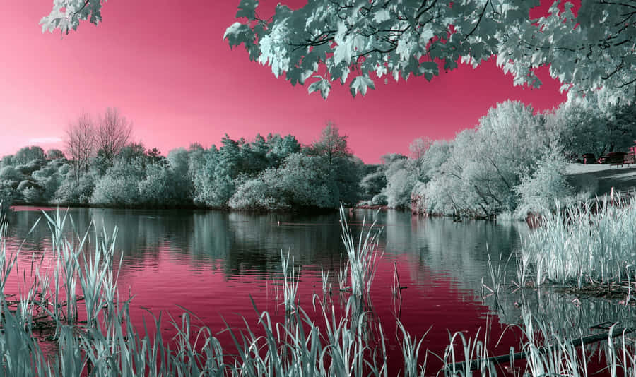 Over Contrast Lake Background Image Wallpaper