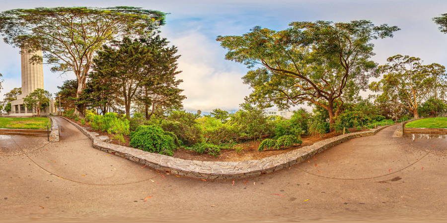 Overview Of Coit Tower And Pioneer Park Wallpaper