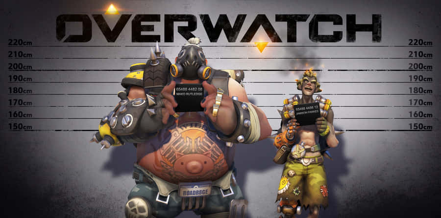 Overwatch Duo Dual Wallpaper