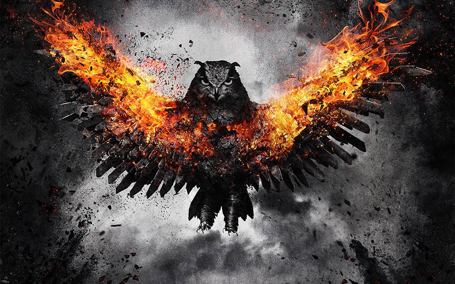 Owl With Fire Wings Wallpaper