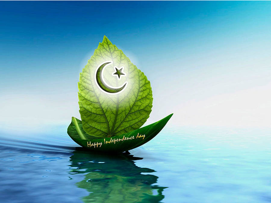 Pakistan Flag On Two Leaves Wallpaper