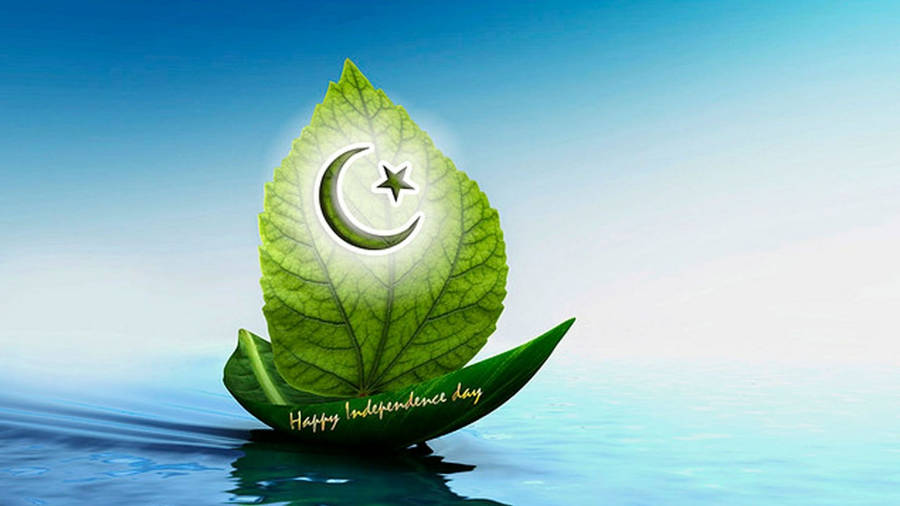 Pakistan Sailing Leaf Wallpaper