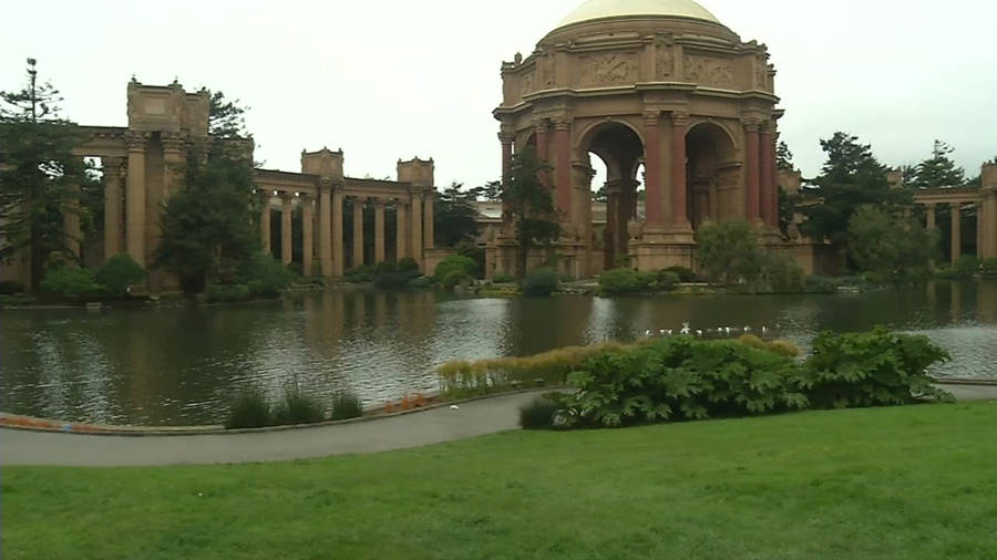 Palace Of Fine Arts Grass Wallpaper