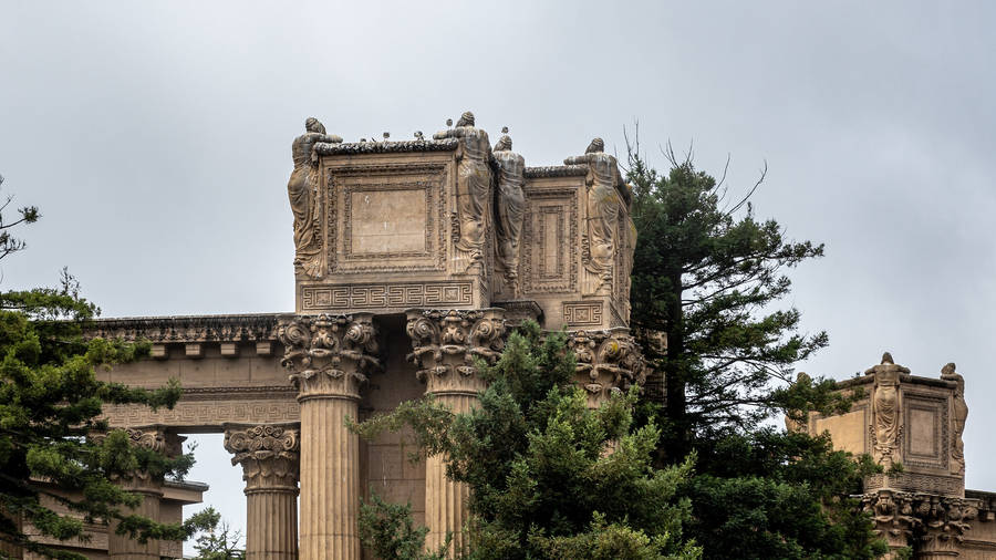 Palace Of Fine Arts Plant Wallpaper