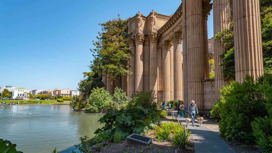 Palace Of Fine Arts Plants On Pillars Wallpaper