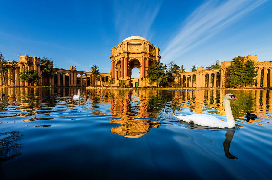 Palace Of Fine Arts San Francisco Photography Wallpaper