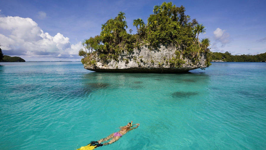 Palau Woman Snorkeling Wallpaper