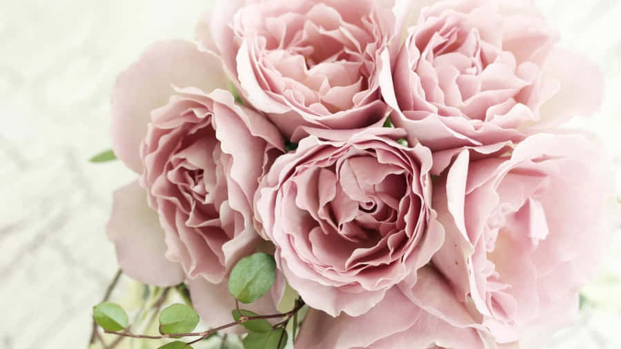 Pale Pink Roses Bouquet Wallpaper